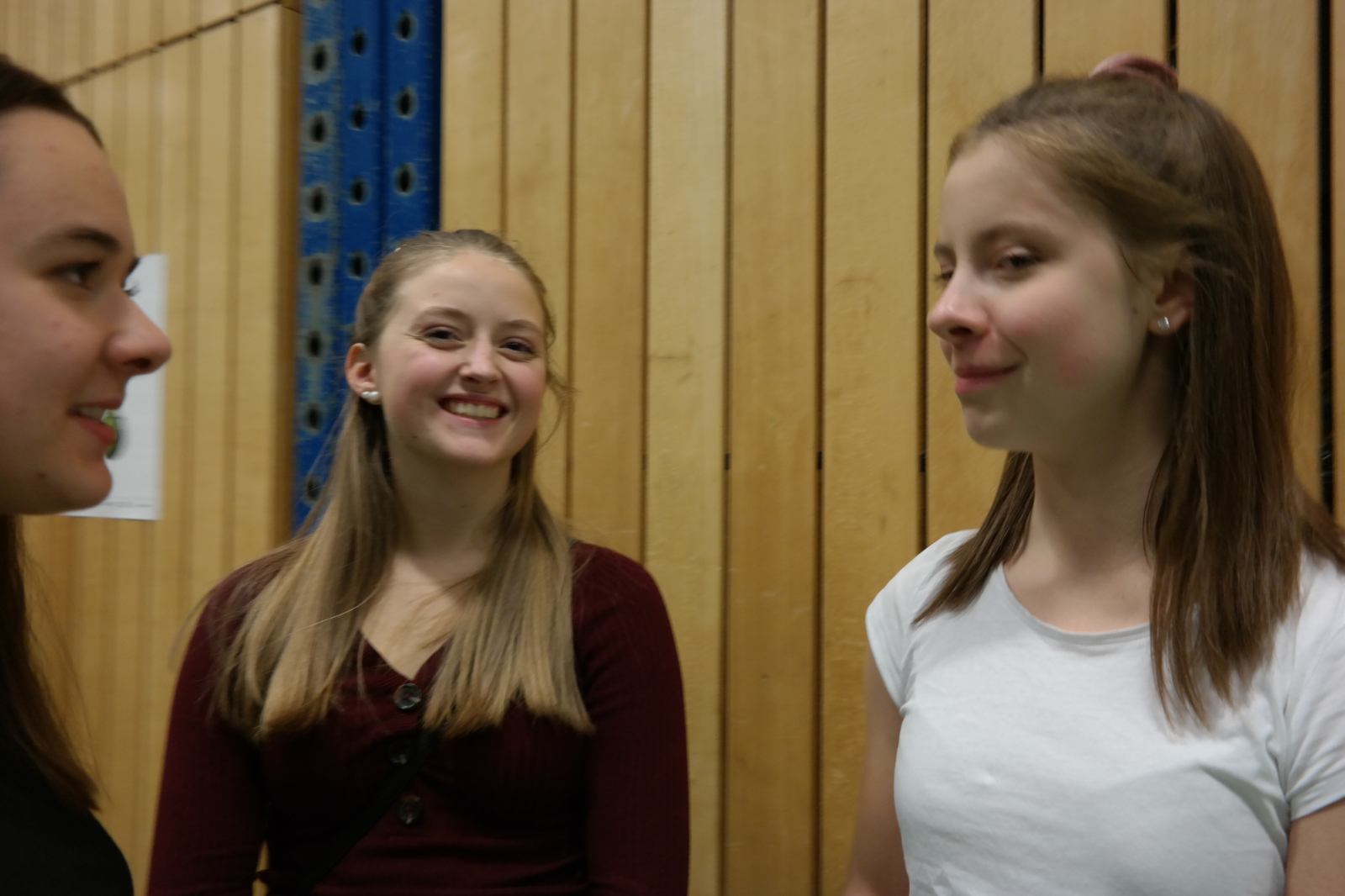Bild (401)